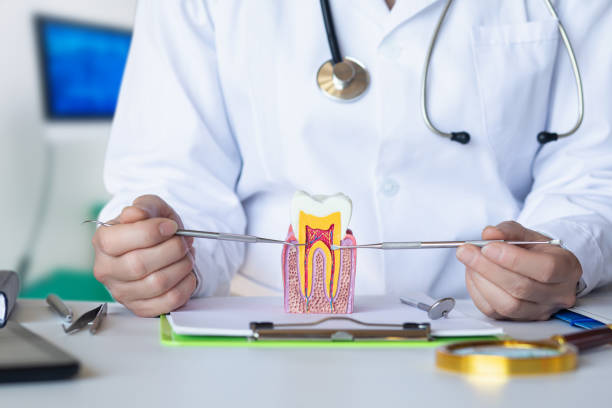 Best Dental Abscess Treatment in Maple Bluff, WI